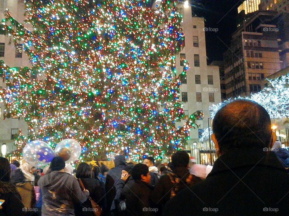 People, Crowd, Many, Celebration, Christmas