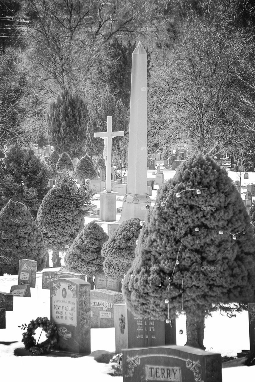 Black and white graves