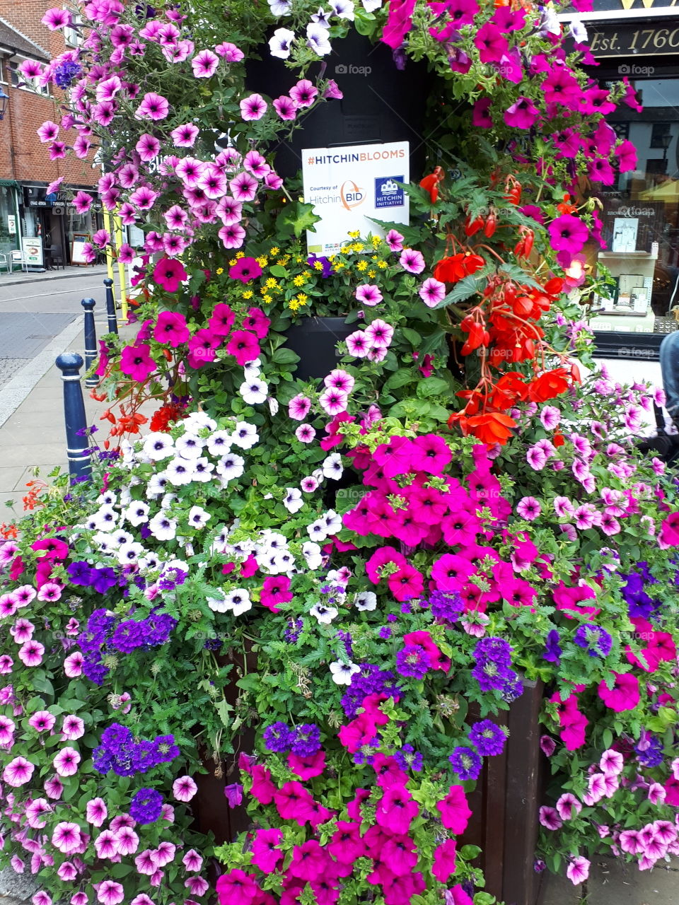 Town Flower Display