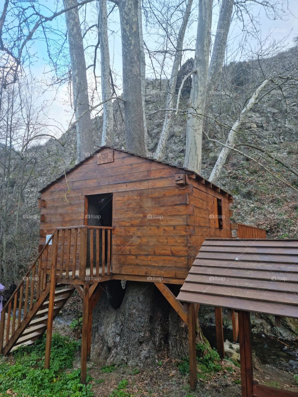 Treehouse