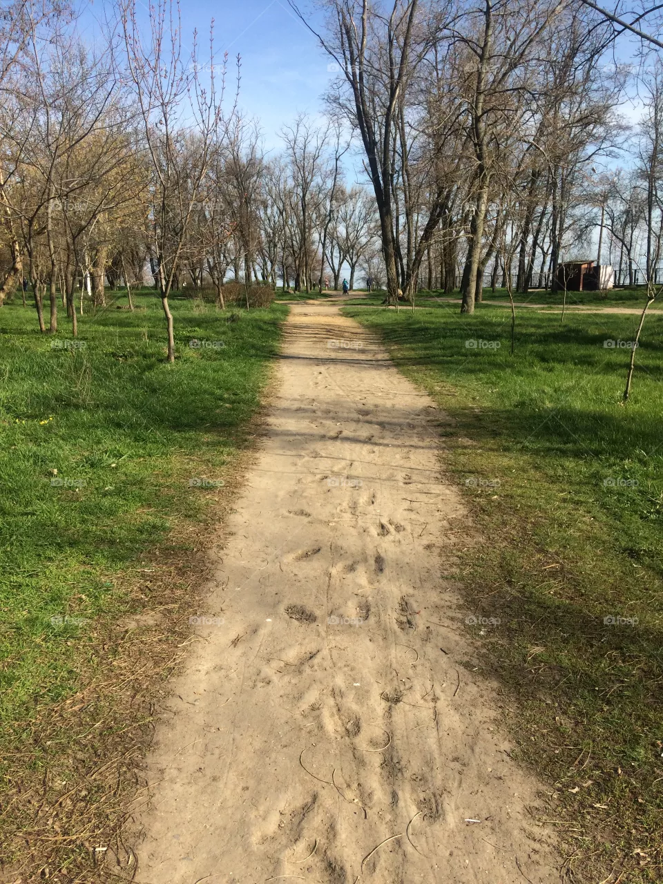 В путь 