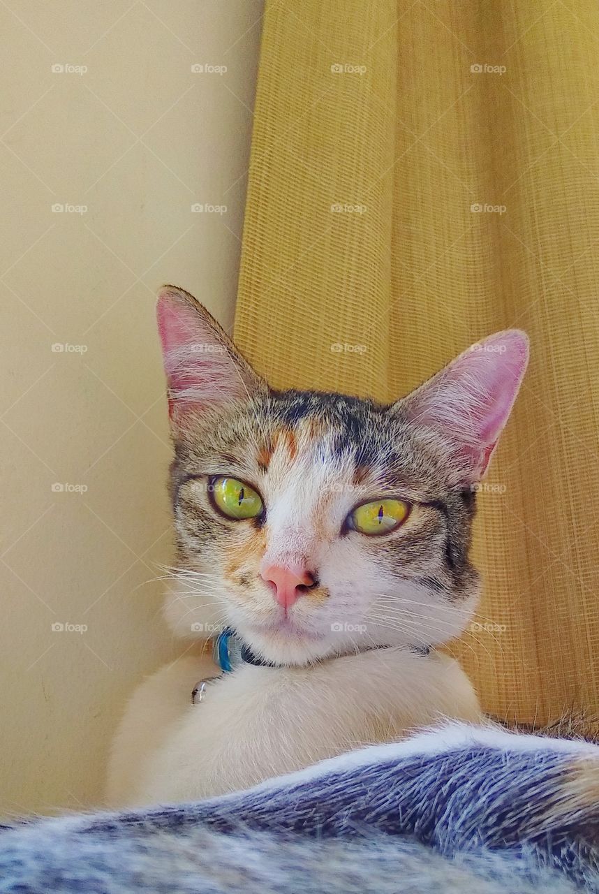 My eyes are cute not strange