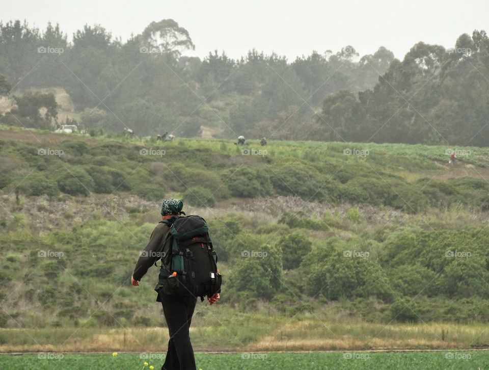 Hitch Hiker in America