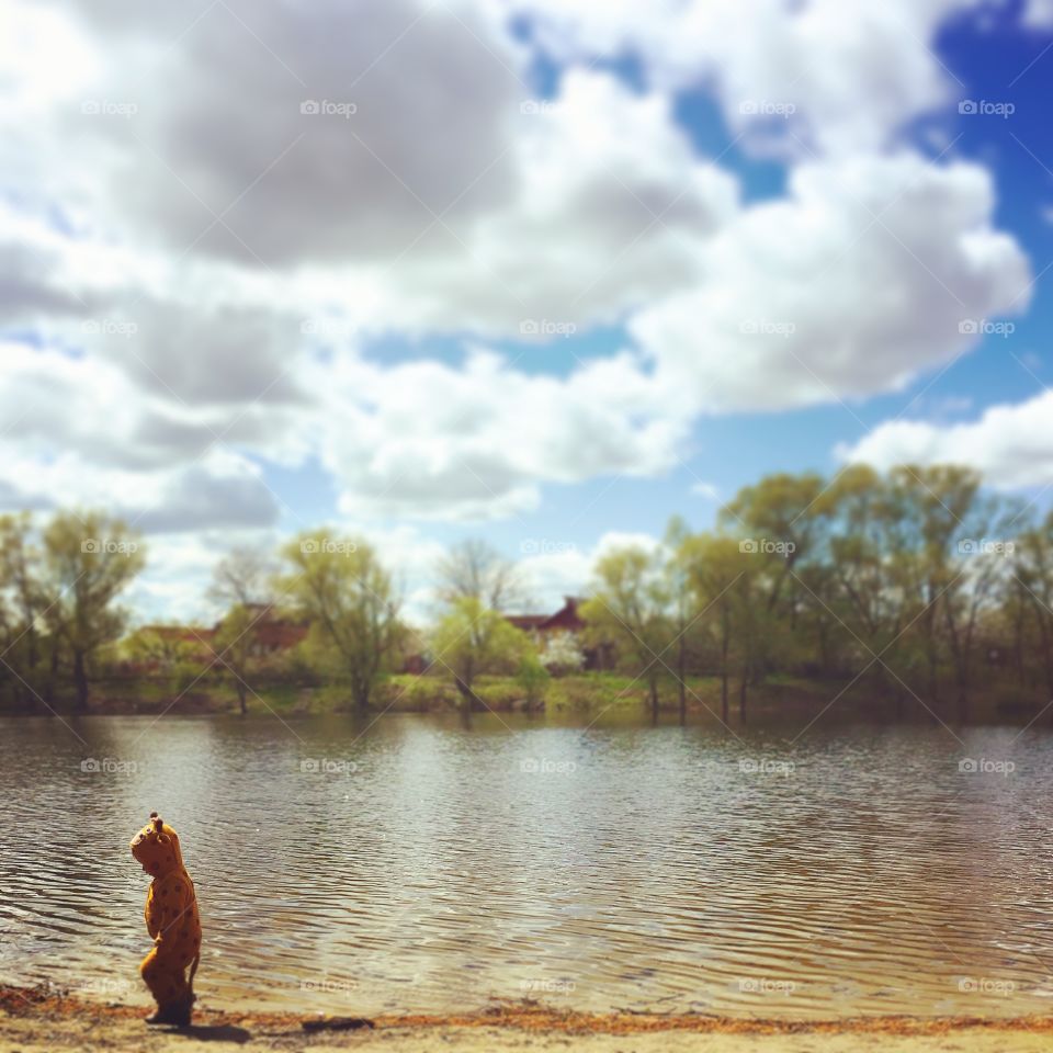 Morning near the water 