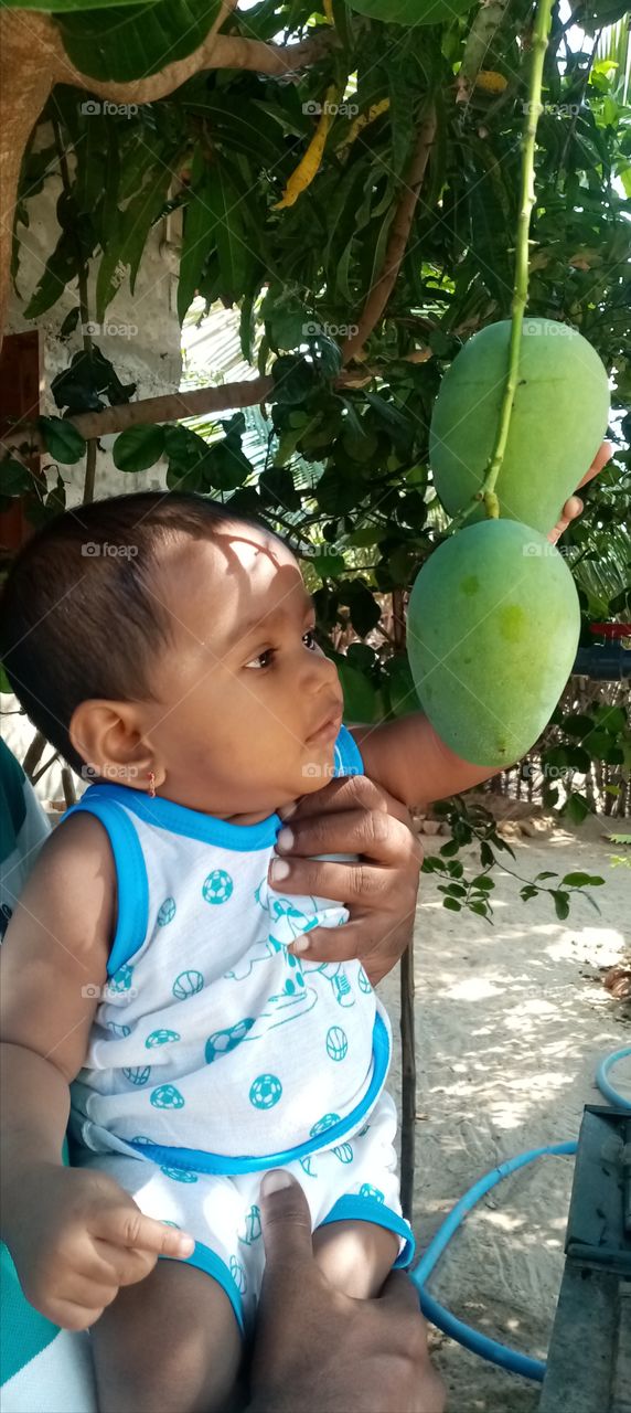 My daughter enjoye the mangoes. Home out side mango tree