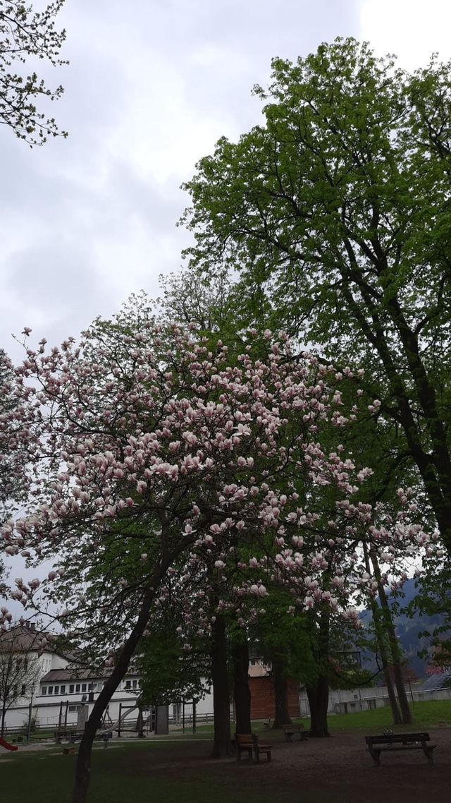 Park Natur 