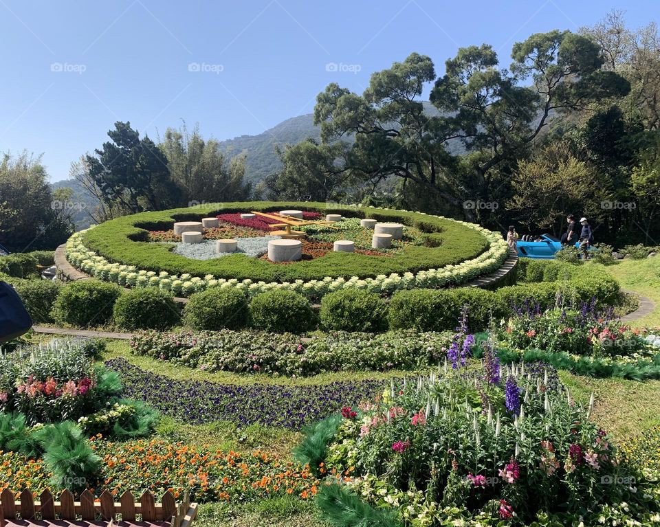 Flower Clock - Yangmingshan National Park