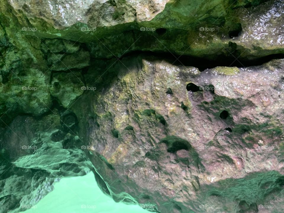 What I’m I looking at?