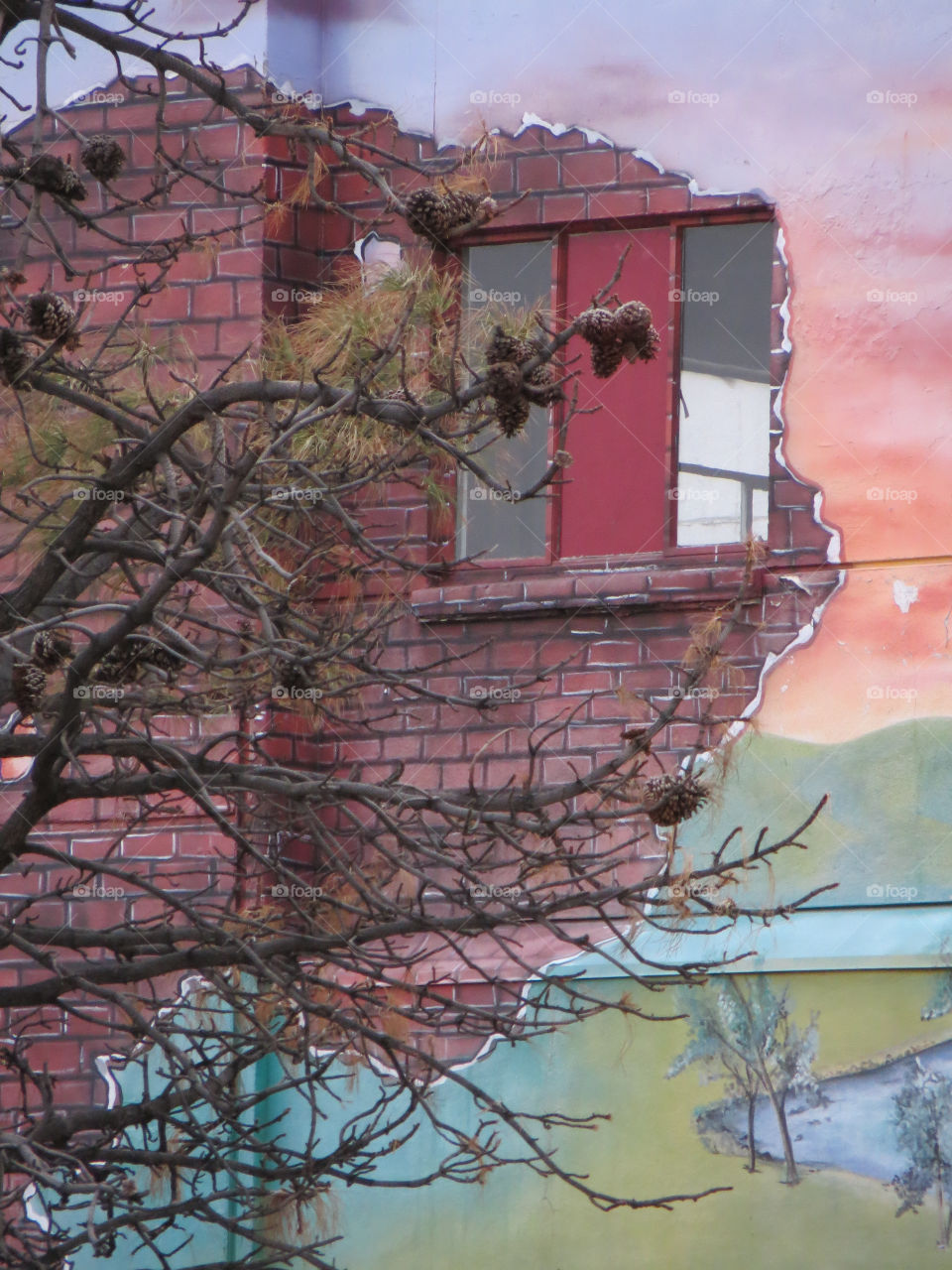 trees art building colorful by melody