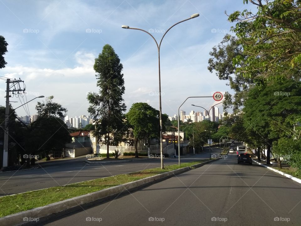 Avenida arborizada em São Paulo, Brasil - Road with lots of trees in Sao Paulo, Brazil