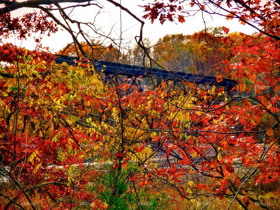 View of fall train tracks