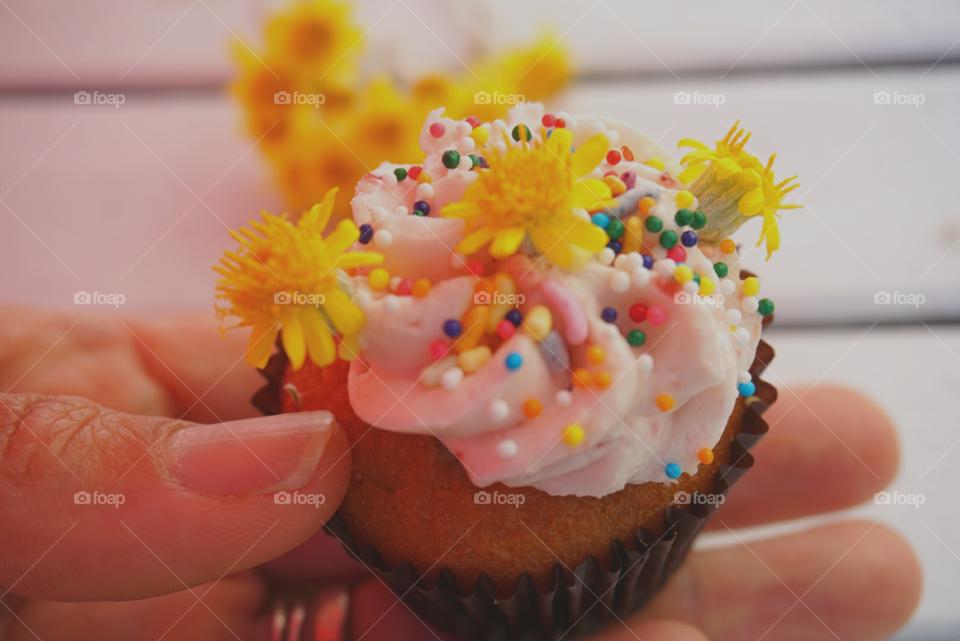 my hobby make crazy cupcakes