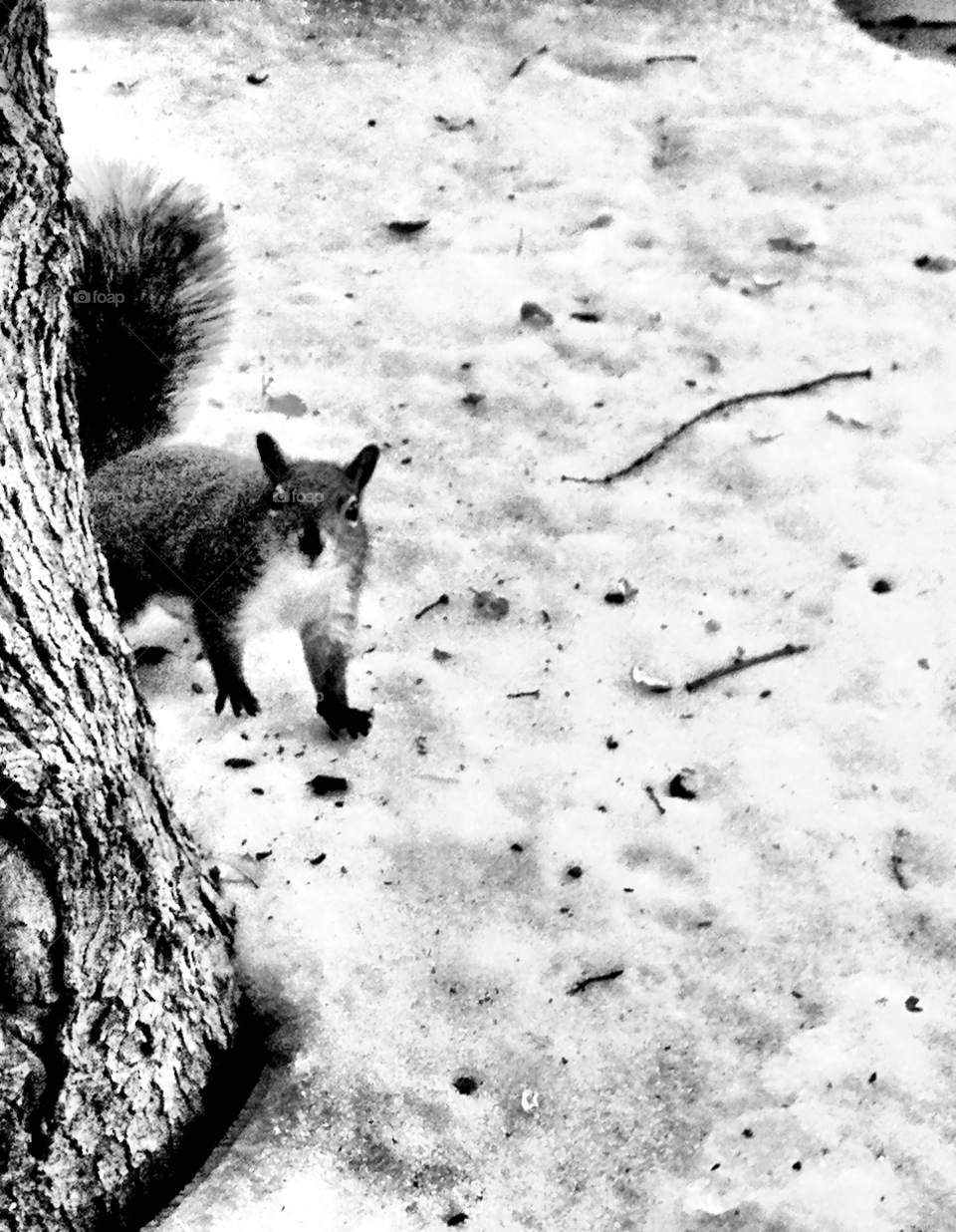 snow winter mountain cold by emmanuelgr