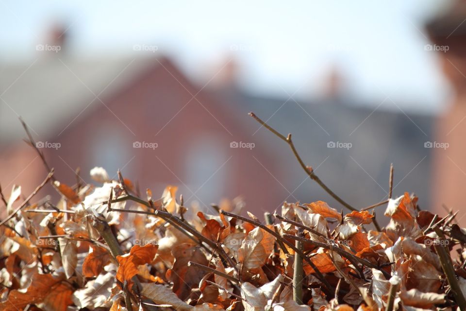 Just a little of everything 