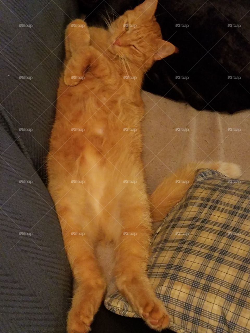 Sunny boy sleeping on his back