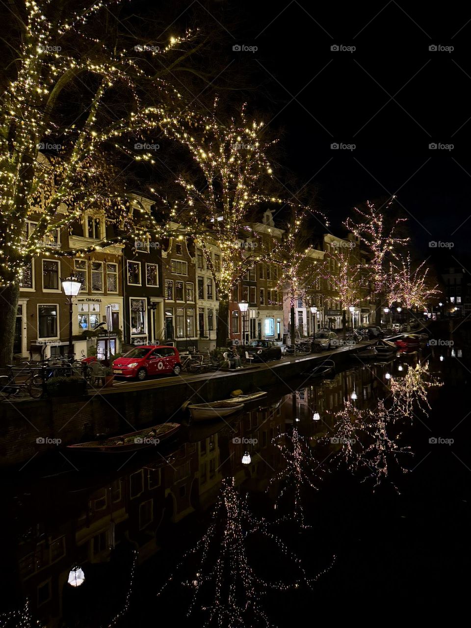 What a beautiful place to be 😻