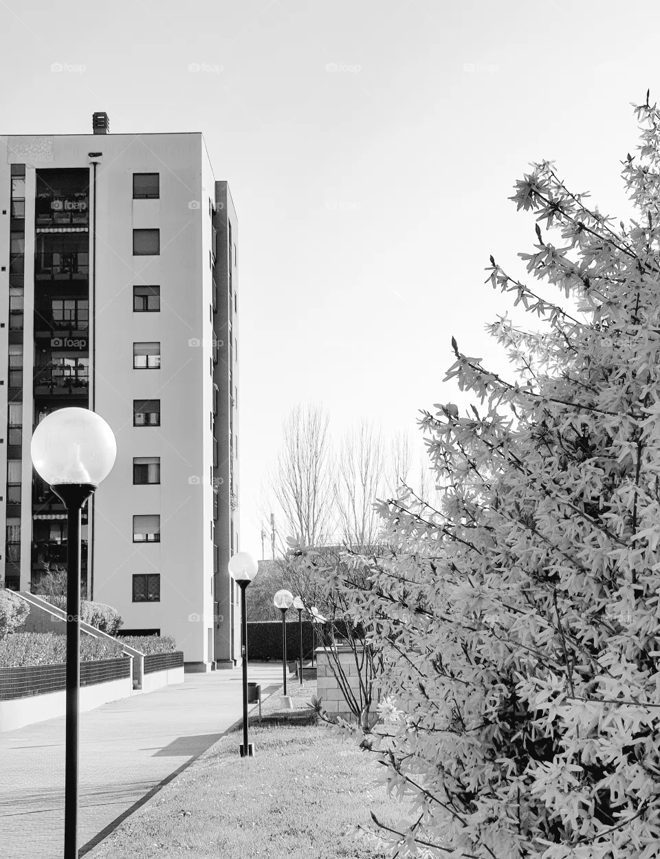 Black and white city photography