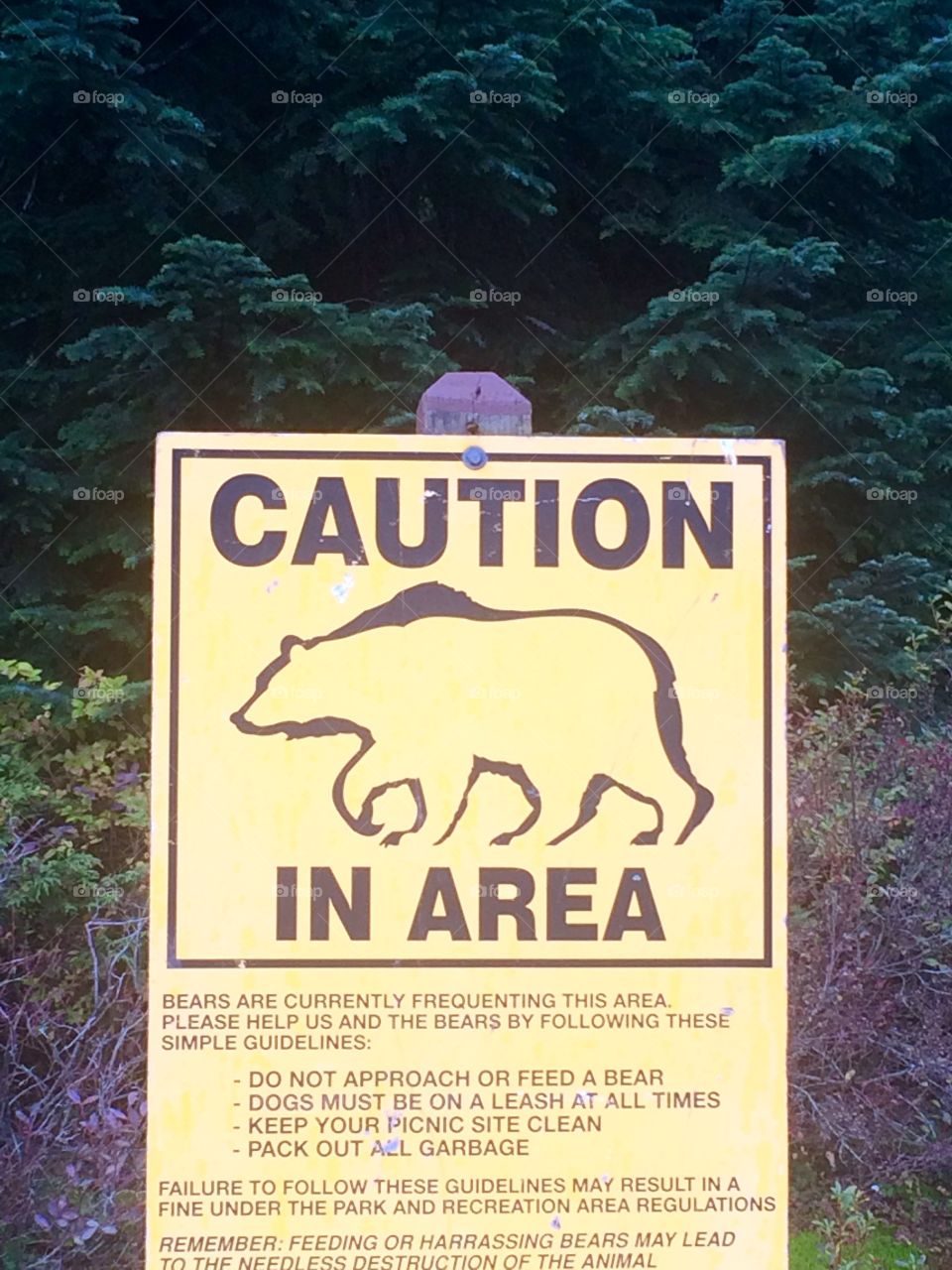 Heading out for a day hike up in the mountains, we come across this sign at the start. Hmmm..... We'll be safe right??
