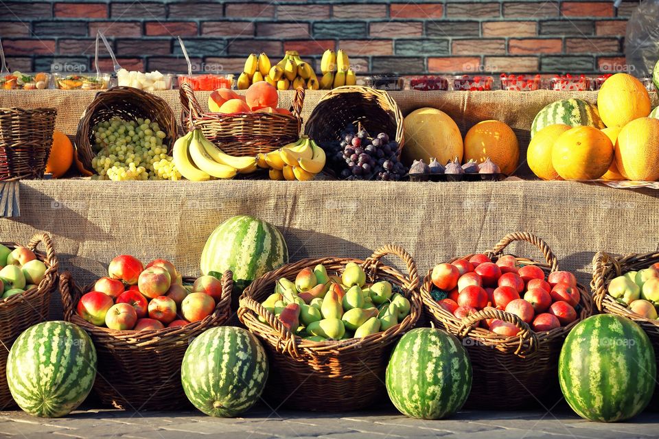 Fruit harvest 