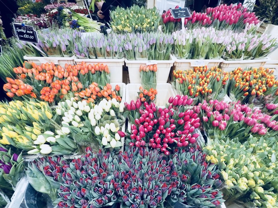 Colombia Road Flower Market in London, UK
