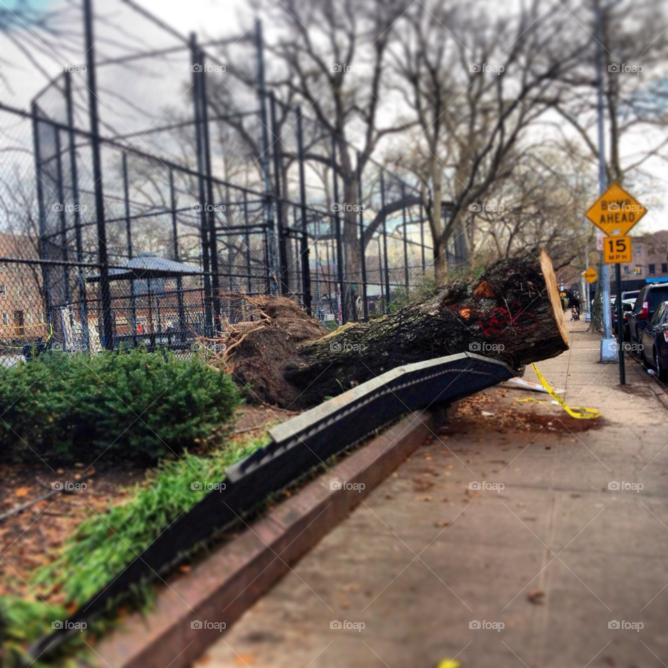 timber sidewalk site hurricane damage by michaella