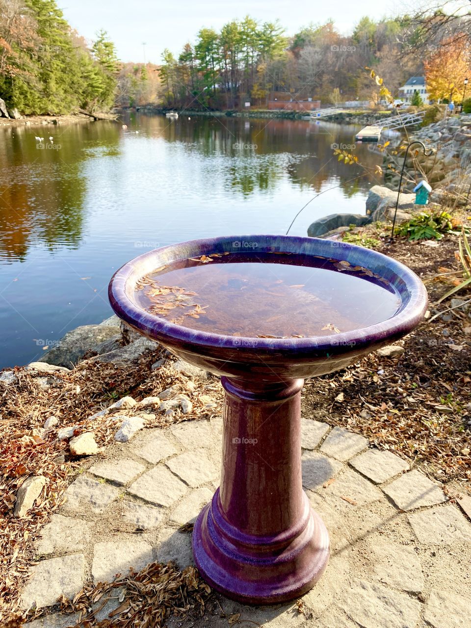 Bird water fountain in a beautiful place by the river. Green and yellow trees. Autumn season 