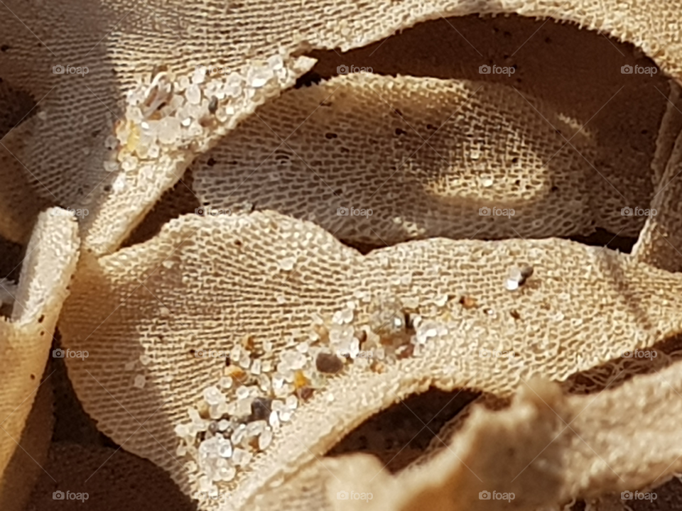 machro jewels of sand adorning a golden honeycomb of sun dried machro seaweed