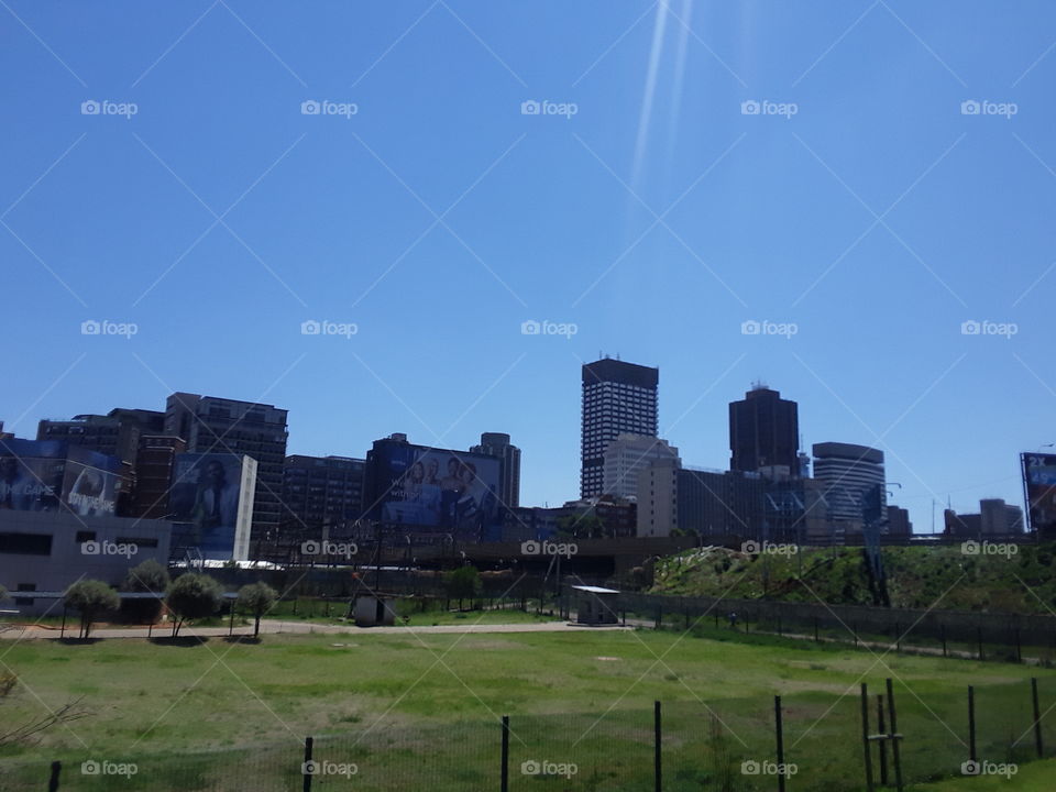sunshine and inner city park view.