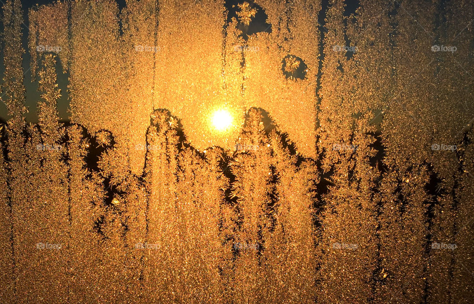 Close-up of frost on glass window