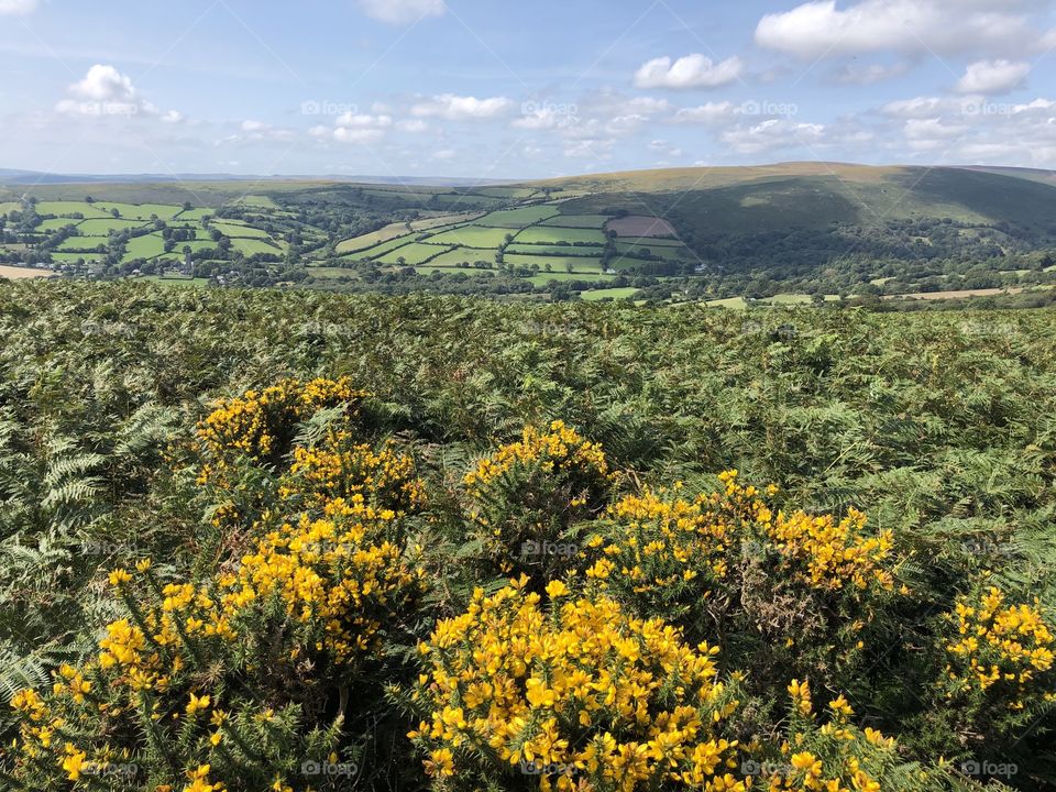 A perfect day for this lovely and most precious of landscapes, on account of the natural beauty on display.