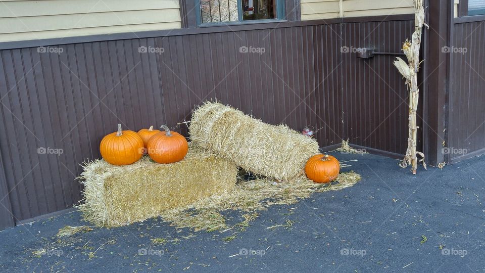 Pumpkin s and hay bales