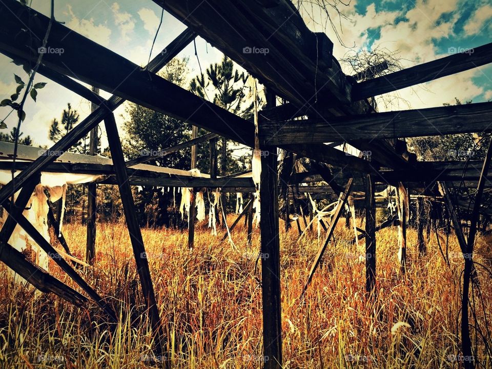 Hawthorne Nursery urbex abandoned