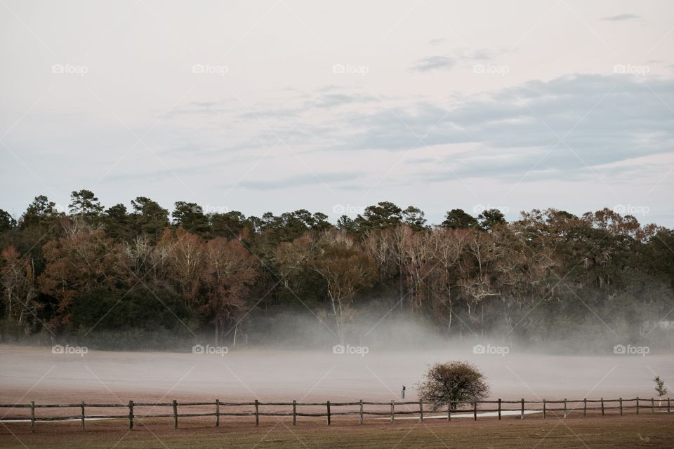 Foggy night in florida