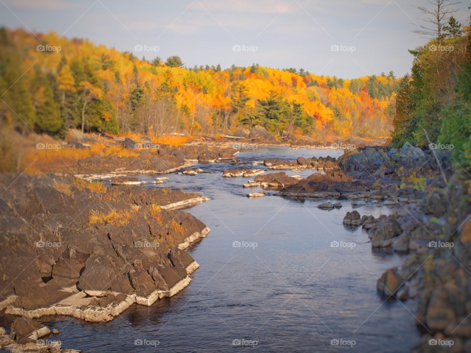 River in Autumn