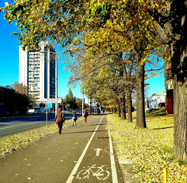 sunny october
