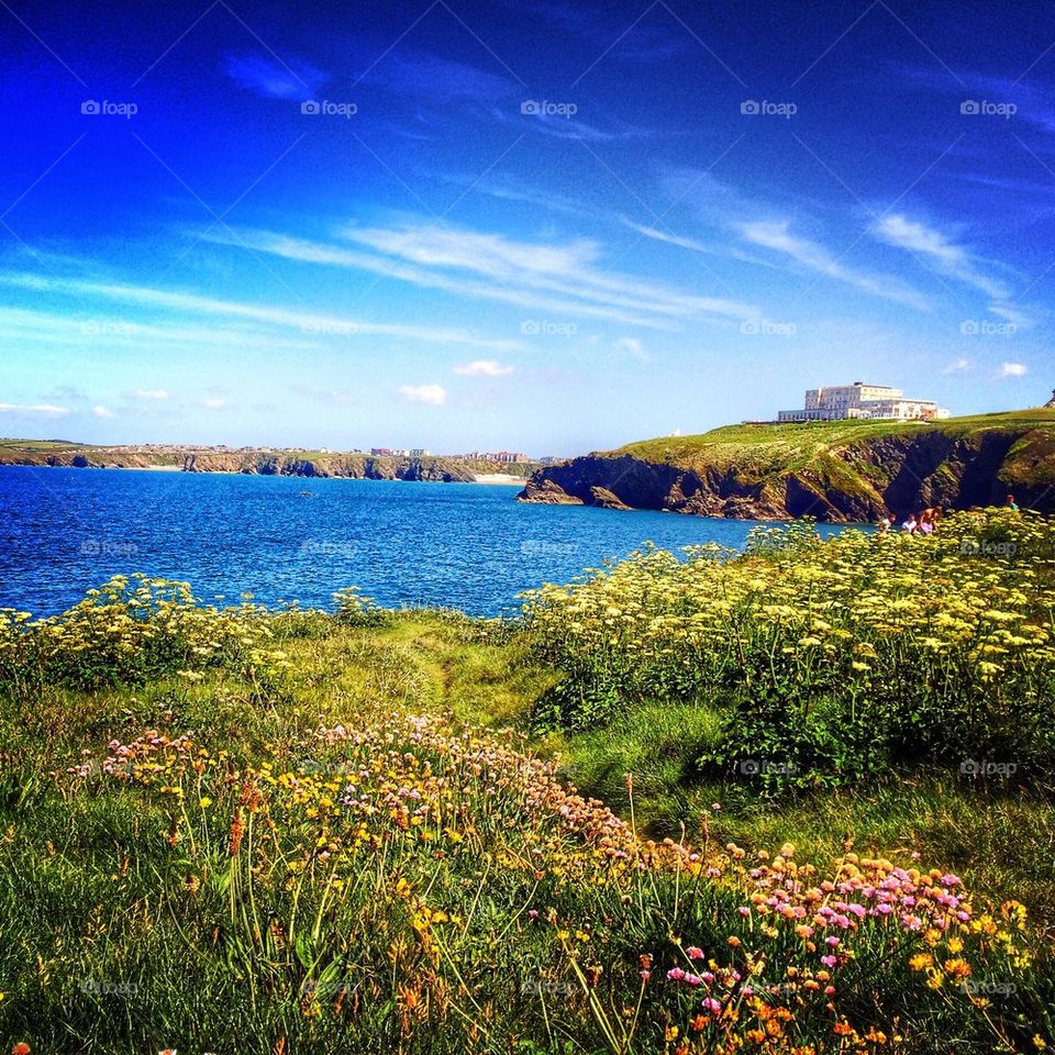 Summer in Newquay