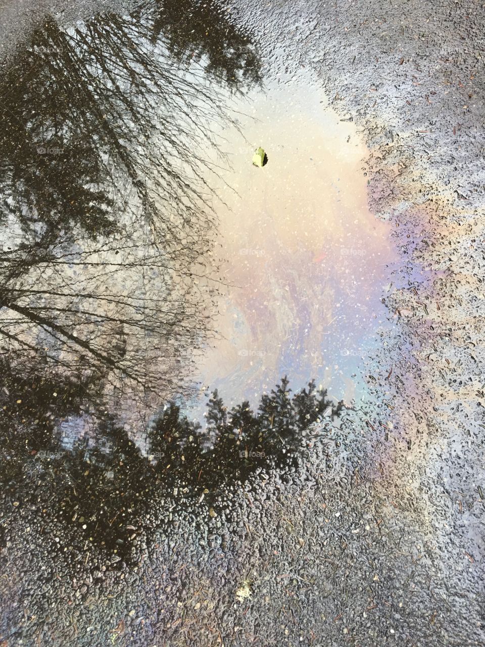Oil in rain puddle reflection 