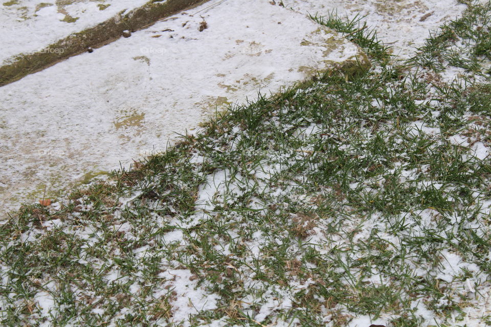 Grass and snow and concrete