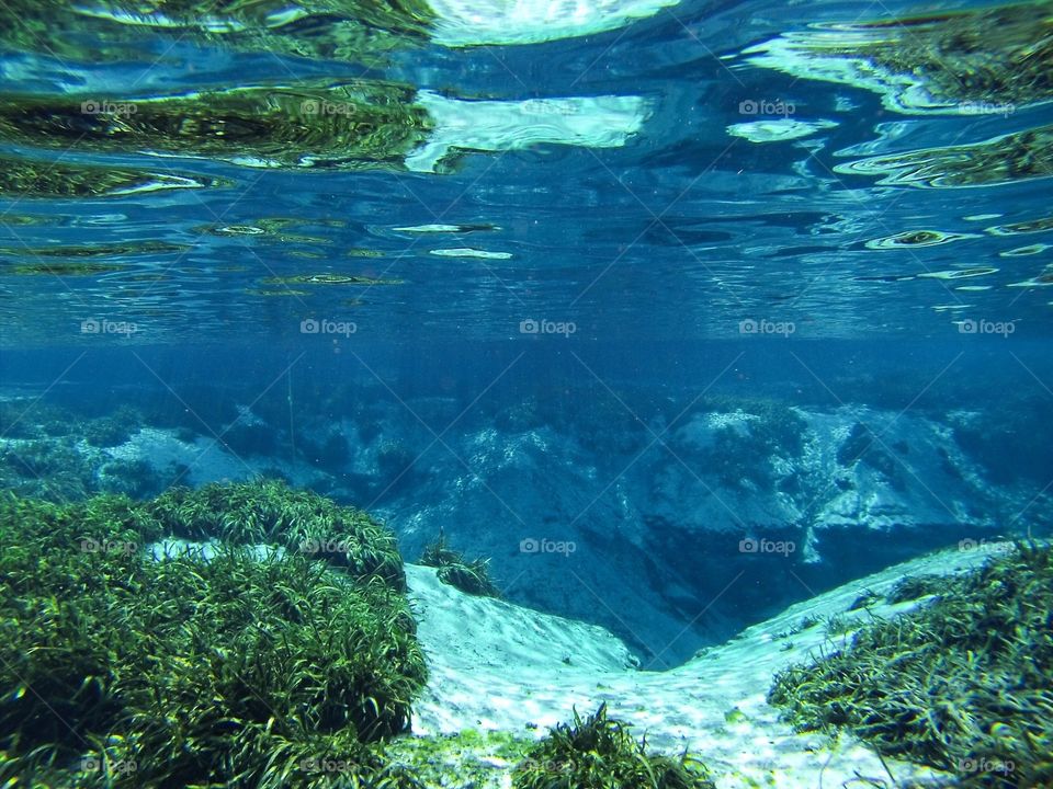 Underwater paradise 