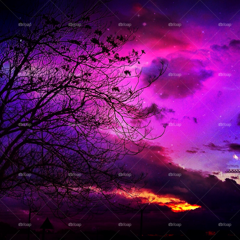 nature purple sunset beautiful by Elina