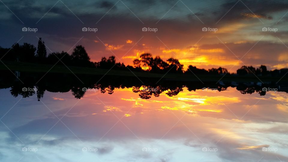 Florida Pond Sunset Reflection Upside Down