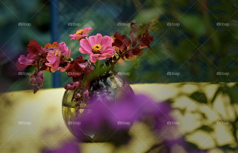 on the garden table