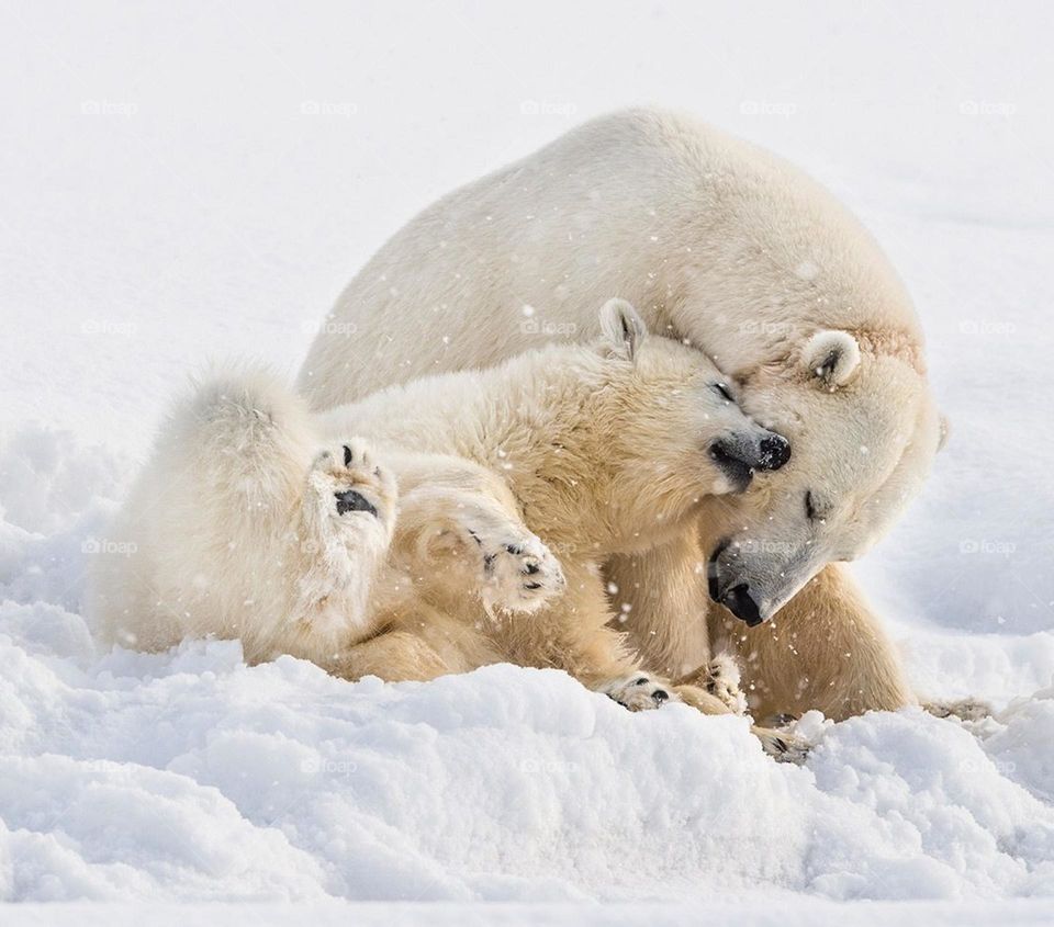 Красоты Севера