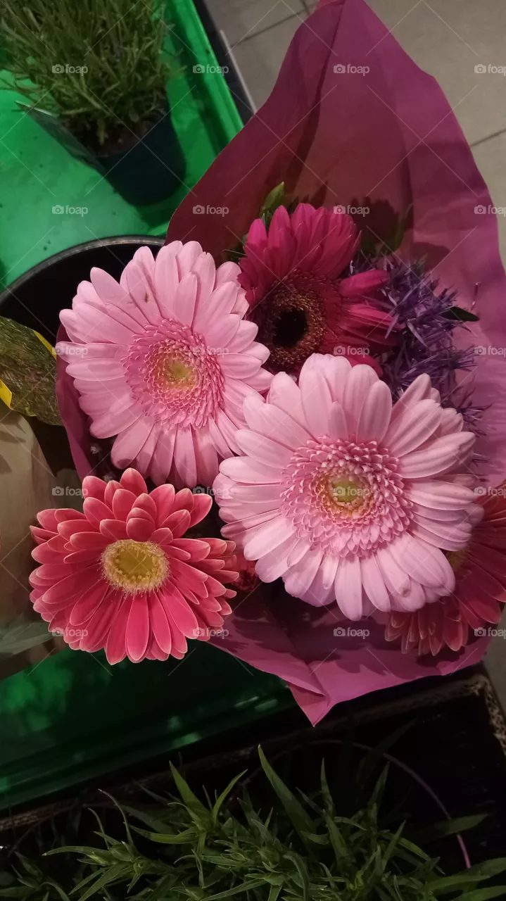Blumen