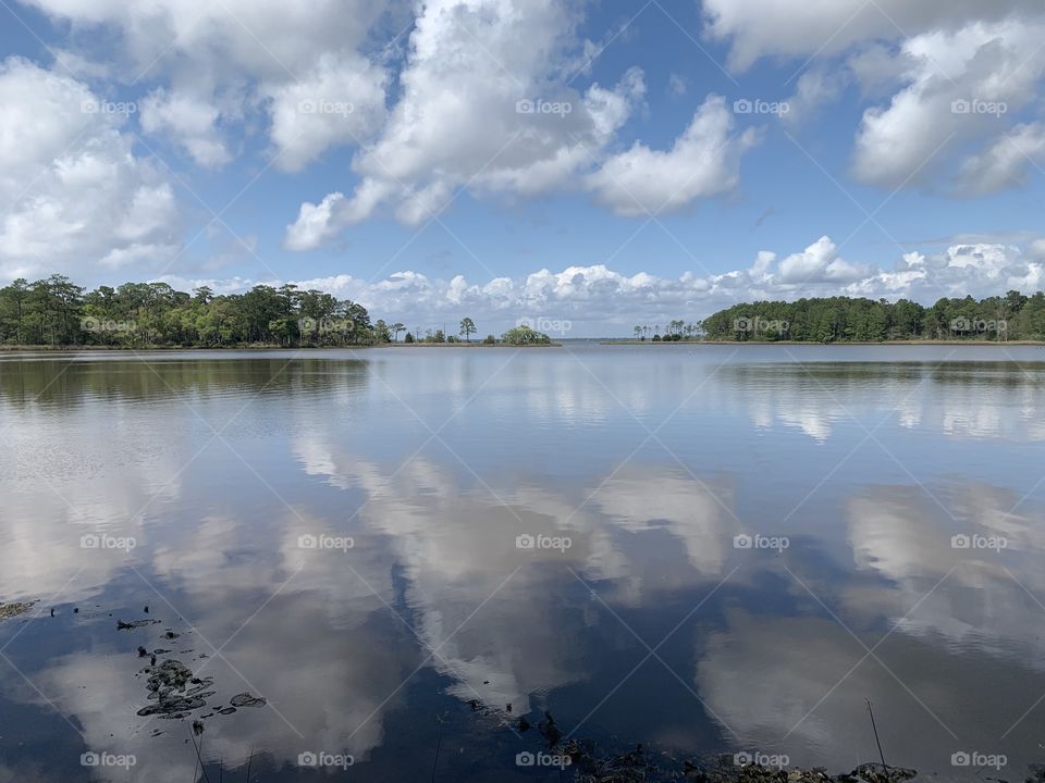 Eden Gardens State Park - With all the dismal news around the world - Take a walk through the park 