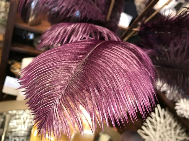 Home decor accents feather purple color 