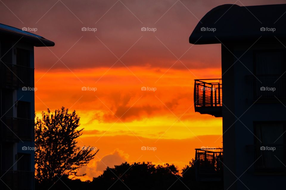 Silhouette of nature