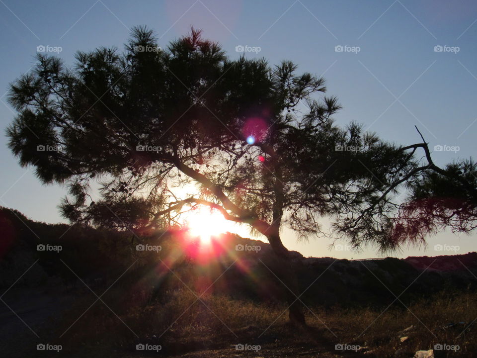 A summer day with relaxing music under the tree