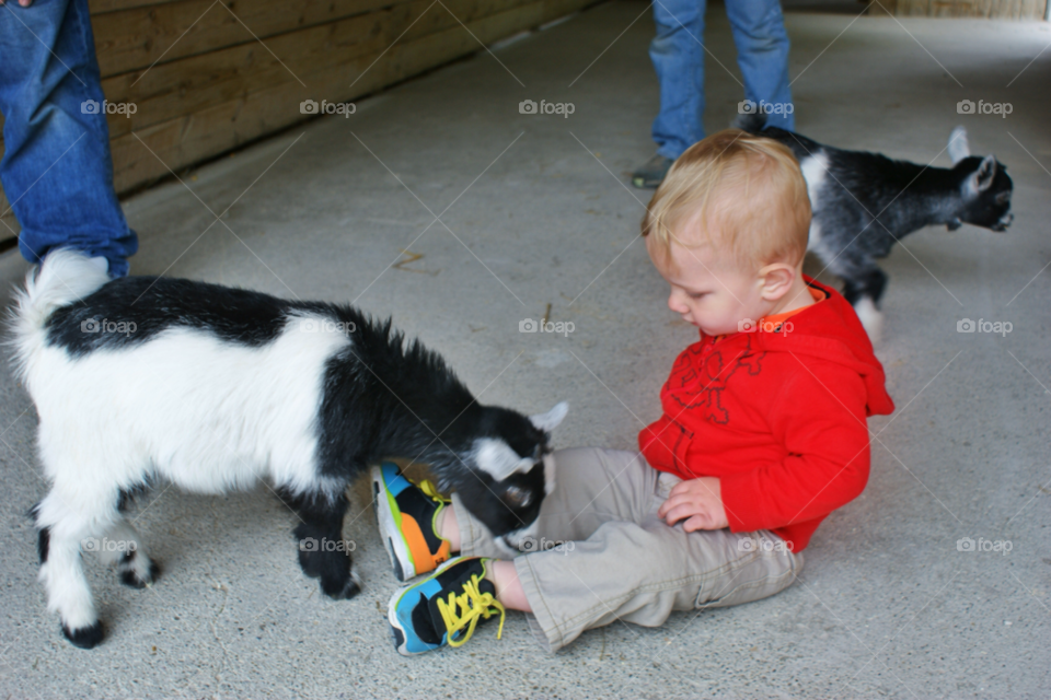 Experiencing the farm life. Hanging out at the farm for the day loving on the baby goats 