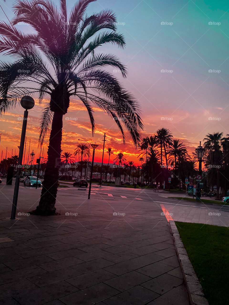 Palma De Mallorca Spain 